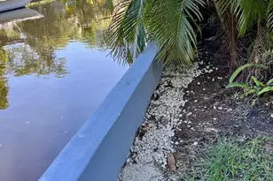 2048 SW 28th Terrace, Fort Lauderdale, FL 33312 - Photo 4