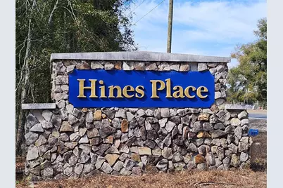 Lot 50 Fl-50, Live Oak, FL 32060 - Photo 4