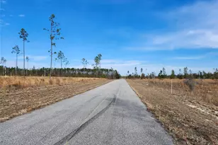 Lot 50 Fl-50, Live Oak, FL 32060 - Photo 1