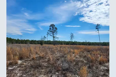 Lot 50 Fl-50, Live Oak, FL 32060 - Photo 2