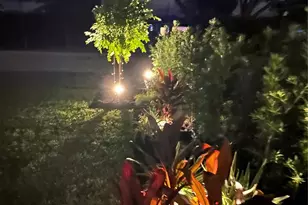 2925 NE 1st Ave., Wilton Manors, FL 33334 - Photo 60