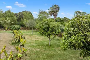 15895 67th Ct, Loxahatchee, FL 33470 - Photo 48