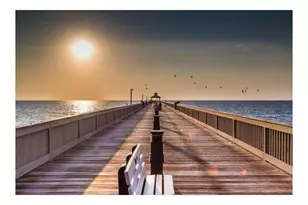 4212 SW 11th St, Deerfield Beach, FL 33442 - Photo 50