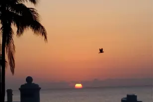 4030 W Palm Aire Dr, Pompano Beach, FL 33069 - Photo 42