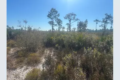 0 Xeriscape Nursery Road, Frostproof, FL 33898 - Photo 2