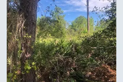 0 Old Grade Road, Polk City, FL 33868 - Photo 1