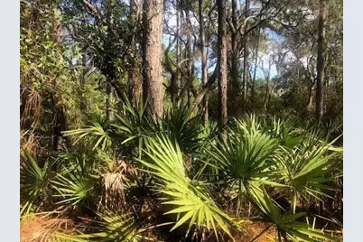 0 Old Grade Road, Polk City, FL 33868 - Photo 1