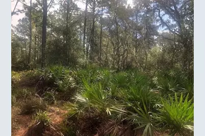 0 Old Grade Road, Polk City, FL 33868 - Photo 2