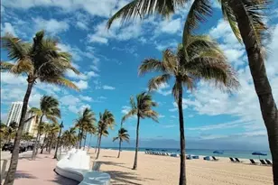 700 Bayshore Dr, Fort Lauderdale, FL 33304 - Photo 4