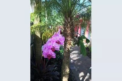 1334 NE 16th Avenue, Fort Lauderdale, FL 33304 - Photo 26