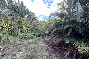 111 NE 47th St, Fort Lauderdale, FL 33334 - Photo 20