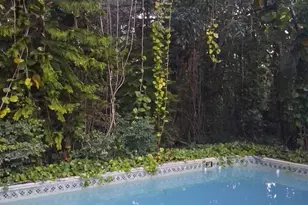 5911 SW 196th Ln, Southwest Ranches, FL 33332 - Photo 8