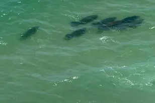 4280 Galt Ocean Dr, Fort Lauderdale, FL 33308 - Photo 14