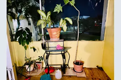 8460 Sunrise Lakes Boulevard #202, Sunrise, FL 33322 - Photo 66