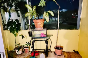 8460 Sunrise Lakes Blvd, Sunrise, FL 33322 - Photo 66