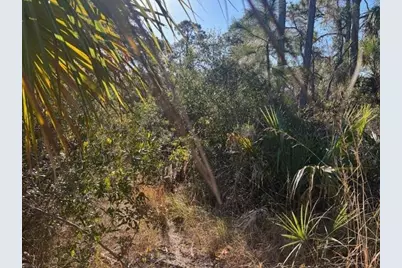 42260 93rd Avenue, Vero Beach, FL 32966 - Photo 2