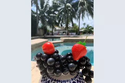 2626 Barcelona Drive, Fort Lauderdale, FL 33301 - Photo 50