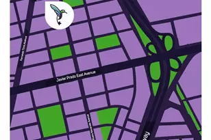 Lince Lince Lima, Almont, CO - Photo 12