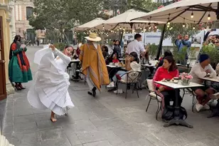 Lince Lince Lima, Almont, CO - Photo 18