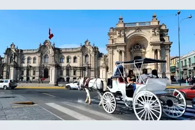 Lince Lince Lima #Unit 402, Almont, CO  - Photo 14