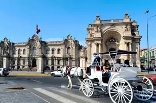 Lince Lince Lima, Almont, CO - Photo 14