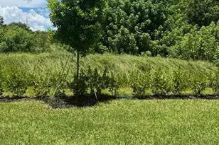 4393 Hammock Grove Dr, Lake Worth, FL 33467 - Photo 8