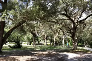 9531 S Seagrape Dr, Davie, FL 33324 - Photo 60