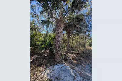 8635 96th, Vero Beach, FL 32967 - Photo 4