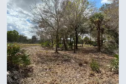 19731 NW 266th Street, Okeechobee, FL 34972 - Photo 6