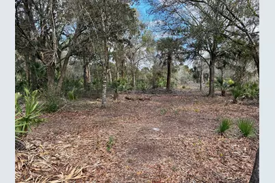 19731 NW 266th Street, Okeechobee, FL 34972 - Photo 8