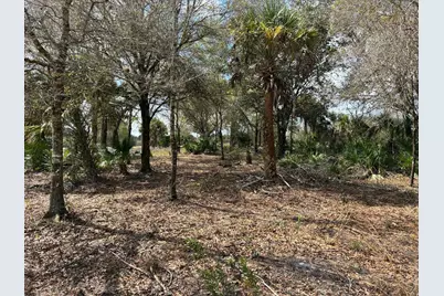 19731 NW 266th Street, Okeechobee, FL 34972 - Photo 4
