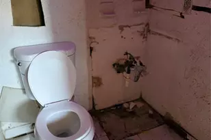 4010 NE 6th Ave, Deerfield Beach, FL 33064 - Photo 12