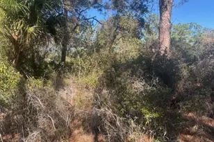 221 Rainbow Dr, Lake Placid, FL 33852 - Photo 1