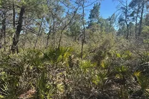 10681 Interlacher Dr, Sebring, FL 33852 - Photo 1