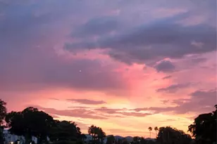 4400 Hillcrest Dr, Hollywood, FL 33021 - Photo 46