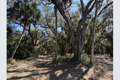 Tbd SE 40th Avenue, Okeechobee, FL 34974 - Photo 6