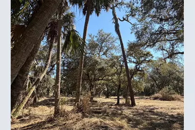 Tbd SE 40th Avenue, Okeechobee, FL 34974 - Photo 2