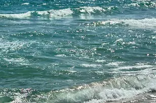 4250 Galt Ocean Dr, Fort Lauderdale, FL 33308 - Photo 34