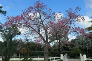 650 E Rambling Dr, Wellington, FL 33414 - Photo 72