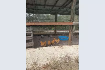 39702 NW 24th Drive, Okeechobee, FL 34972 - Photo 18