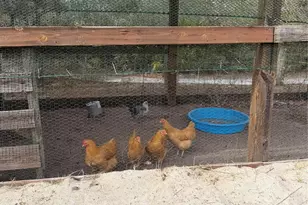 39702 NW 24th Dr, Okeechobee, FL 34972 - Photo 18