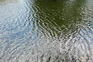 8980 NW 24th Pl, Sunrise, FL 33322 - Photo 18