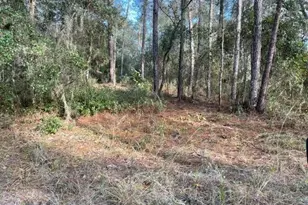 417 Incline, Satsuma, FL 32189 - Photo 1