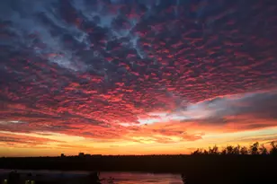 3415 N Ocean Dr, Hollywood, FL 33019 - Photo 44