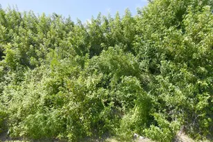 4273 SW Rosser Blvd, Port Saint Lucie, FL 34953 - Photo 1