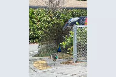 1412 NW 2nd Avenue, Fort Lauderdale, FL 33311 - Photo 68