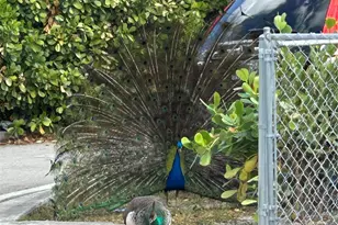 1412 NW 2nd Ave, Fort Lauderdale, FL 33311 - Photo 68