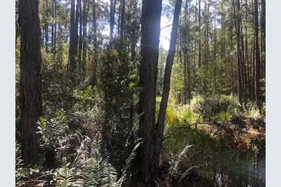 0 Old Grade Road, Polk City, FL 33868 - Photo 2