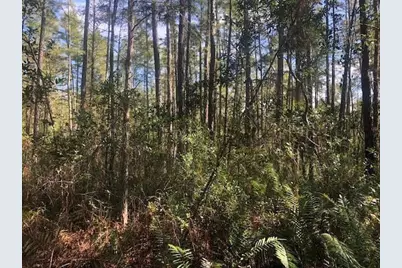 0 Old Grade Road, Polk City, FL 33868 - Photo 1