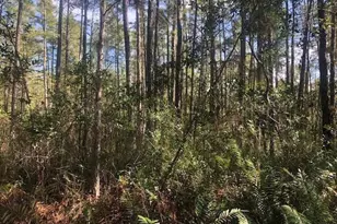 0 Old Grade Rd, Polk City, FL 33868 - Photo 1